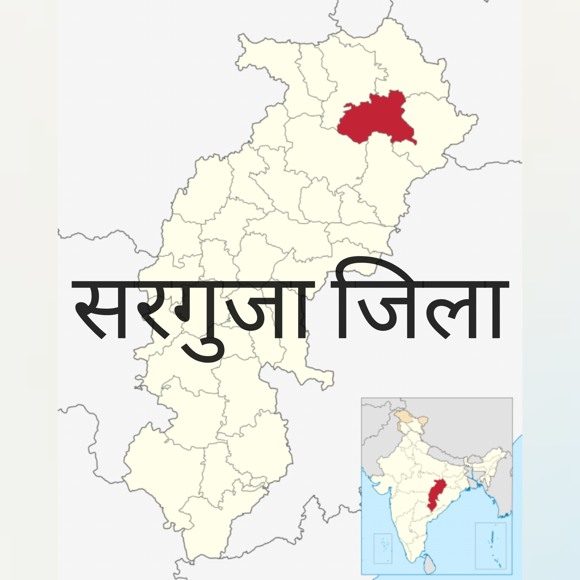 सरगुजा जिला